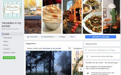 [VIMP] 8 000 J&rsquo;aime sur Facebook !