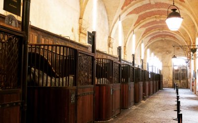 [Blogging] Dans les coulisses de l&rsquo;Académie équestre